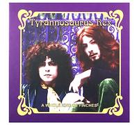 Tyrannosaurus Rex - A Whole Zinc of Finches (5cd+DVD)