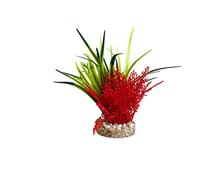 Tyrol - Planta Artificial para Acuario - Decoración de Plástico sobre Base - Coral y Planta de Interior - Anclaje Fácil en el Fondo - Fabricado en Francia