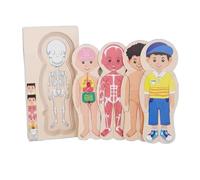 tysdyzgs Rompecabezas del Cuerpo Humano de los niños Montessori, educación temprana de Madera de la Estructura ósea Humana,Boy