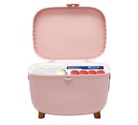 Tyvotrend Caja de medicamentos de 2 capas, botiquín casero, caja de almacenamiento, maletín de medicamentos con asa, maletín de medicamentos, para el hogar, 28 x 20 x 18 cm (rosa)