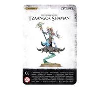 TZEENTCH ARCANITES TZAANGOR SHAMAN