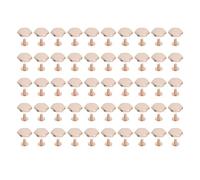 TZOXTLH Kit de 50 remaches de cuero, clavos hexagonales con tornillos ranurados para encuadernación de suministros de artesanía en cuero, 15 mm (Oro claro)