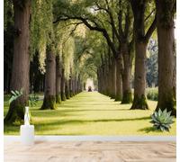 Tzxztt Hierba Verde Sol Sombra De Los Árboles Sendero Espacio Que Se Extiende Papel Pintado 3D Seda Texturizada Primera Calidad Neutros Material Ideal Para SalóN Dormitorio-400cm×280cm