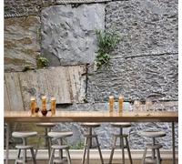 Tzxztt Personalidad Tridimensional Arte Cultura Ladrillos De Piedra Papel Pintado 3D Seda Texturizada Primera Calidad Neutros Material Ideal Para SalóN Dormitorio-250cm×170cm