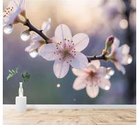 Tzxztt Sencillez Belleza Ramas De Cerezo En Flor Gotas De Rocío Suave Luz Matutina Papel Pintado 3D Seda Texturizada Primera Calidad Neutros Material Ideal Para SalóN Dormitorio-300cm×210cm