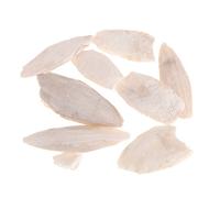 U-K 1 bolsa Cuttlebone para calamar, sepia, huesos, calamar, pienso para pájaros, calcio, pickstone pet, muy práctico y popular (adecuado para pájaros, hámsters y tortugas) útil y práctico.