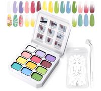 U-Shinein Gel de pintura degradado, 12 colores, esmalte de uñas de gel Ombre con 100 esponjas de uñas y 4 garras de metal para manicura francesa, juego I