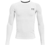 UA HG Armour LS