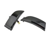 UAGFDFF Luz Indicadora Intermitente Para Ford Para Ranger T6 Para Wildtrak Para Everest 2 Piezas Luz Espejo Lateral Con Señal Giro Secuencial LED Dinámica(Smoked)