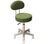 UALXPAO Taburete con Ruedas Taburete Redondo Giratorio con Ruedas y polea for Maquillaje, peluquería manicura. Muebles for salón de Belleza(Color 10)