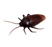 Uanqfegy Juguete de Control Remoto de cucaracha eléctrica de simulación, Modelo de plástico infrarrojo RC para Accesorios de Halloween