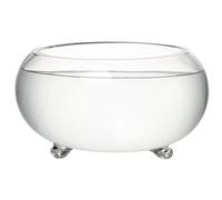 Uanqfegy Macetero Lotus Bowl de 11, 8 Pulgadas, Cuenco de Cristal Transparente con pies Antideslizantes para macetero hidropónico, pecera pequeña, suculentas, Cactus