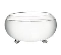 Uanqfegy Macetero Lotus Bowl de 9, 8 Pulgadas, Cuenco de Cristal Transparente con pies Antideslizantes para macetero hidropónico, pecera pequeña, suculentas, Cactus