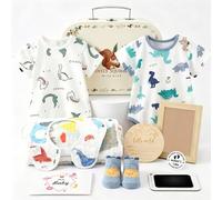 UBERMing Regalo Bebe Recien Nacido para Niños Niñas con 2 Bodies Bebe 1 Babero Calcetines Muselina Algodon Tarjetas de Hitos Marco de Fotos y Moneda de Decisión, Cesta de Bebé para Baby Shower