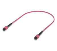 Ubiquiti Cable de Fibra Óptica Patch Multi-modo OM4 Indoor, Conectores MPO-12 Tipo B UPC, para 100G, Rosa, 0.5 m, Pack 10 Unidades