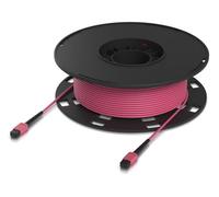 Ubiquiti OM4, MPO-12 UPC Rose 60m Cable de Fibra Óptica Multimodo para Aplicaciones 100G Interior