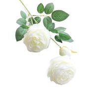 UBOHUZ 30pcs Artificial Long Stem Rose Flowers Home Room Table Vase Centerpiece Outdoor Yard Garden Wedding Bridal Bouquets DIY Gifts para Bodas Novia(Color 5)