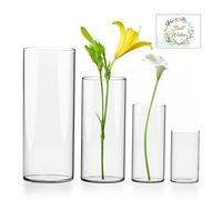 UCAMP Jarrón De Cristal,Jarrón De Diseño,Jarrónde Transparente,para Boda,Mesa De Cena,Decoración Moderna del Hogar,Salón,Comedor,Dormitorio De Oficina,Cocina Dormitorio,Neutros Estilo Minimalismo