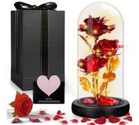 UCAMP Rosa Eterna,La Bella y la Bestia Rosa Eterna,Elegante Cúpula de Cristal con Base Pino Luces LED,Base de Madera,1 Tarjeta de Amor,para Mamá,Damas,Navidad,Boda,Aniversario,Día de la Madre