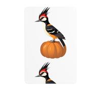 UDFKGLP Pintura decorativa de hojalata con patrón de pájaro carpintero sobre una calabaza, 20,3 x 30,5 cm, hecha de hojalata, resistente al desgaste y duradera