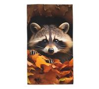 UDFKGLP Raccoon in The Fall Tree Hole - Toallas de toalla de 27.5 x 16 pulgadas, agradables al tacto, absorbentes, esponjosas y suaves para baño, playa, exteriores