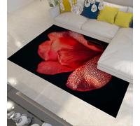 UERWOWELL Alfombras Moderna Minimalista Gran Rosa pétalos tulipán Gotas rocío Fondo Negro Lavable Alfombra Pelo Corto Interior tapete salón 180x270cm