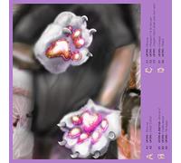 Ufo95 - Use Your Difference To Make The Difference [VINYL] [Vinilo]