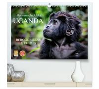 UGANDA - Berggorillas & Chimps (hochwertiger Premium Wandkalender 2026 DIN A2 quer), Kunstdruck in Hochglanz: Zerbrechliche Wesen - Afrikas Menschenaffen