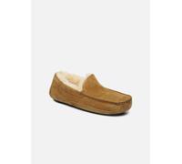 UGG de los hombres Zapatillas Ascot Suede, Beige
