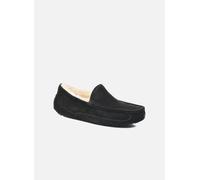UGG Ascot 45 Negro