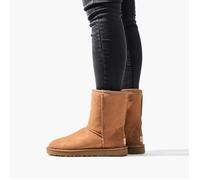 UGG Australia Clásico Corto (5825 , Oveja Forro, Treadlite Suela, 8 Colores)