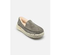 UGG M Ascot Wrap Tech 42 Verde