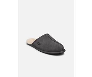 UGG M Scuff 41 Gris