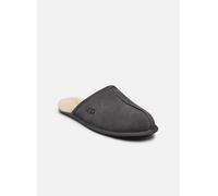 UGG M Scuff 51 Gris