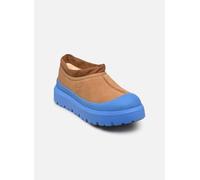 UGG M Tasman Weather Hybrid 43 Marrón