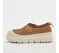 Zapatos UGG M TASMAN WEATHER HYBRID (Castaño / Blanco)