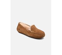 UGG W ANSLEY 36 Marrón
