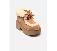 UGG W Esmee Lace Up 37 Marrón