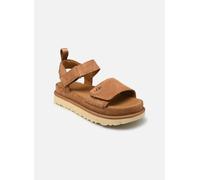 UGG W Goldenstar 36 Marrón