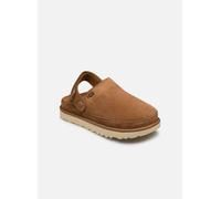 UGG W Goldenstar Clog 37 Marrón