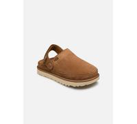 UGG W GOLDENSTAR CLOG 37 Marrón