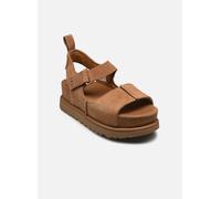 UGG W Goldenstar Hi 38 Marrón
