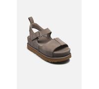 UGG W Goldenstar Hi 41 Marrón