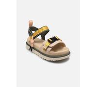 UGG Chanclas y sandalias mujer W Goldenstar Wildwood Sand Castle Beige Talla 7 US