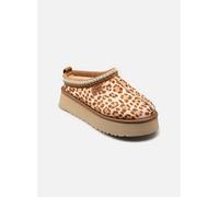 UGG W Tazz Plains 42 Multicolor