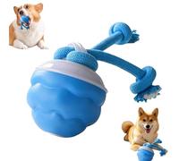 UGIENRHV Power Tail 2.0 Dog Toy, Interactive Dog Ball with Motion Activated and Squeaky, USB Rechargeable
