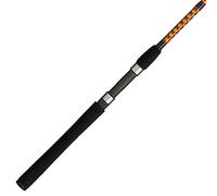 Ugly Stik Bigwater - Caña de Pescar giratoria