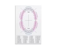 UHPEAAUN Tooth Chart Poster Educational Orthodontic Anatomy Wall-Art for Living Room Bedroom Study Clinic Decor(Unframed,08x12inch(20x30cm))