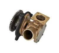 UHSTJW Bomba de Agua cruda 21219723 Reemplazo para JPR VP0110DA Compatible con Penta D11 D11B2 A MP D11A C D11A D IPS Marine Engine Orbitrade 15723