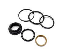 UHSTJW Kit de Sello de Cilindro de compensación eléctrica Compatible con los Modelos DPS-A SX-A 3889954 3889955 3889956 3889957 3889958 3889959